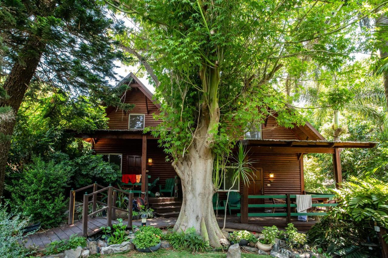 Villa Invito Rosch Pina Exterior foto