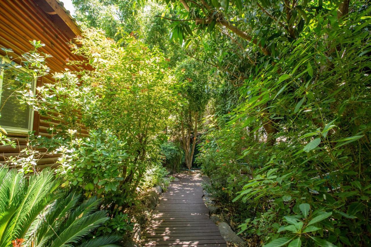 Villa Invito Rosch Pina Exterior foto
