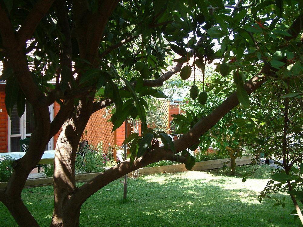 Villa Invito Rosch Pina Exterior foto